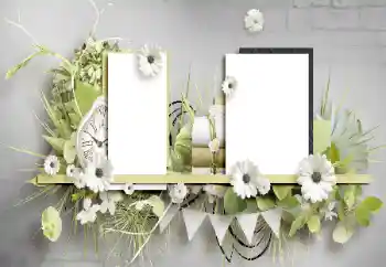 Εφέ φωτογραφιών στην κατηγορία Διαφορετικές № 196449