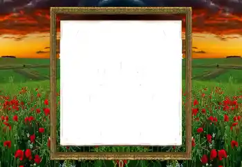 Εφέ φωτογραφιών στην κατηγορία Διαφορετικές № 196520