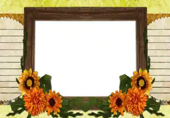 Εφέ φωτογραφιών στην κατηγορία Διαφορετικές № 196538