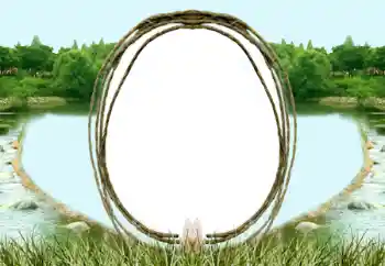 Εφέ φωτογραφιών στην κατηγορία Διαφορετικές № 196571