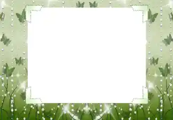 Εφέ φωτογραφιών στην κατηγορία Διαφορετικές № 196623