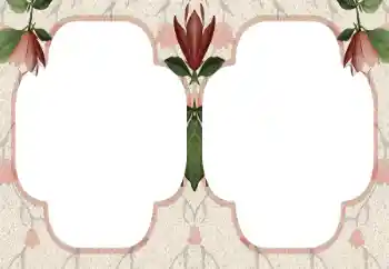 Εφέ φωτογραφιών στην κατηγορία Διαφορετικές № 196630