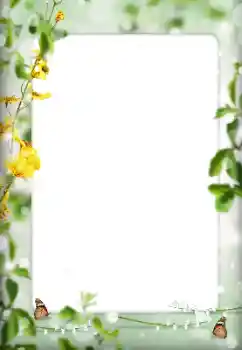 Εφέ φωτογραφιών στην κατηγορία Διαφορετικές № 198822