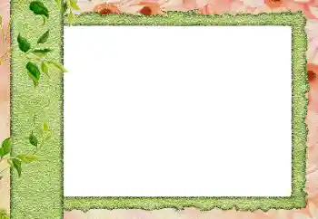 Εφέ φωτογραφιών στην κατηγορία Διαφορετικές № 20242