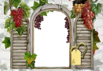 Εφέ φωτογραφιών στην κατηγορία Διαφορετικές № 20247