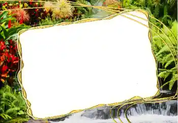 Εφέ φωτογραφιών στην κατηγορία Διαφορετικές № 20271