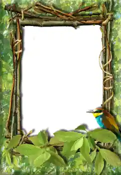 Εφέ φωτογραφιών στην κατηγορία Διαφορετικές № 20272