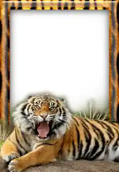 Εφέ φωτογραφιών στην κατηγορία Διαφορετικές № 20297