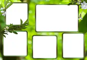 Εφέ φωτογραφιών στην κατηγορία Διαφορετικές № 205353