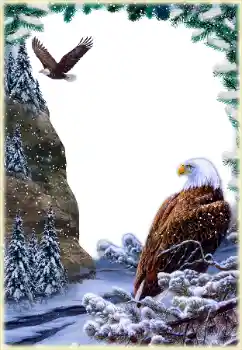 Εφέ φωτογραφιών στην κατηγορία Διαφορετικές № 205592