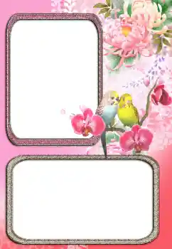 Εφέ φωτογραφιών στην κατηγορία Διαφορετικές № 24272