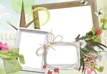 Εφέ φωτογραφιών στην κατηγορία Διαφορετικές № 24280