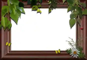 Εφέ φωτογραφιών στην κατηγορία Διαφορετικές № 24288