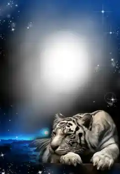 Εφέ φωτογραφιών στην κατηγορία Διαφορετικές № 24304