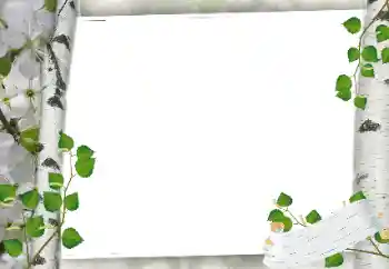 Εφέ φωτογραφιών στην κατηγορία Διαφορετικές № 24319