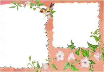 Εφέ φωτογραφιών στην κατηγορία Διαφορετικές № 24418