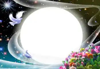 Εφέ φωτογραφιών στην κατηγορία Διαφορετικές № 24510