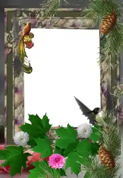 Εφέ φωτογραφιών στην κατηγορία Διαφορετικές № 24525