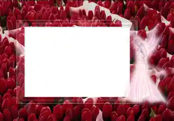 Εφέ φωτογραφιών στην κατηγορία Διαφορετικές № 2452