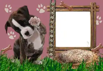 Εφέ φωτογραφιών στην κατηγορία Διαφορετικές № 24550