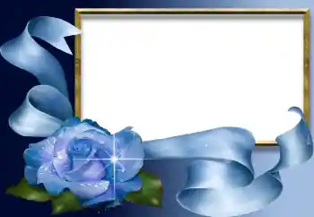 Εφέ φωτογραφιών στην κατηγορία Διαφορετικές № 2455