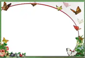 Εφέ φωτογραφιών στην κατηγορία Διαφορετικές № 25484