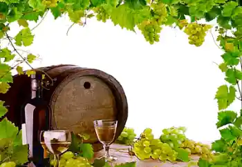 Εφέ φωτογραφιών στην κατηγορία Διαφορετικές № 26443