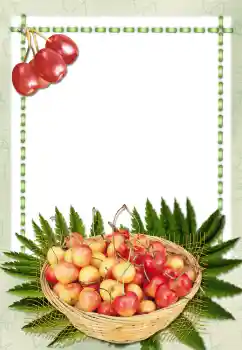 Εφέ φωτογραφιών στην κατηγορία Διαφορετικές № 2657