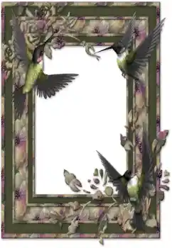 Εφέ φωτογραφιών στην κατηγορία Διαφορετικές № 26588