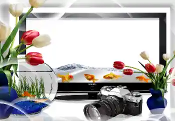 Εφέ φωτογραφιών στην κατηγορία Διαφορετικές № 26669