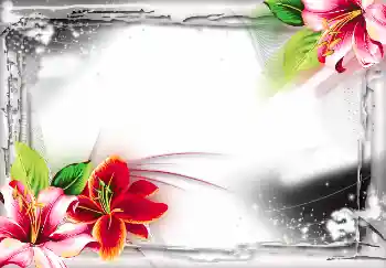 Εφέ φωτογραφιών στην κατηγορία Διαφορετικές № 2804