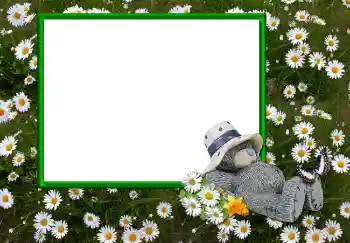 Εφέ φωτογραφιών στην κατηγορία Διαφορετικές № 2893