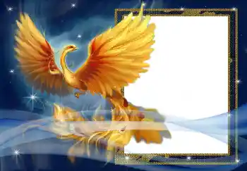 Εφέ φωτογραφιών στην κατηγορία Διαφορετικές № 3018