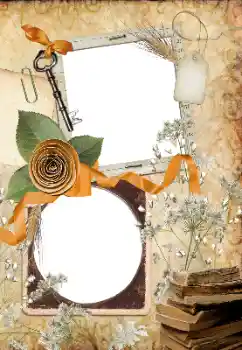 Εφέ φωτογραφιών στην κατηγορία Διαφορετικές № 33766