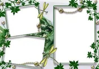 Εφέ φωτογραφιών στην κατηγορία Διαφορετικές № 33922