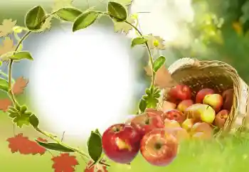 Εφέ φωτογραφιών στην κατηγορία Διαφορετικές № 34029