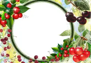 Εφέ φωτογραφιών στην κατηγορία Διαφορετικές № 3416