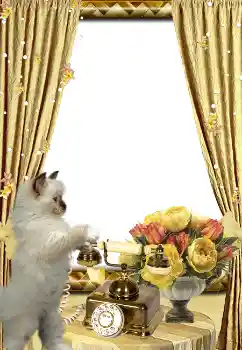 Εφέ φωτογραφιών στην κατηγορία Διαφορετικές № 3419