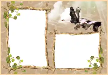 Εφέ φωτογραφιών στην κατηγορία Διαφορετικές № 3430