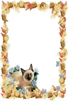 Εφέ φωτογραφιών στην κατηγορία Διαφορετικές № 34851