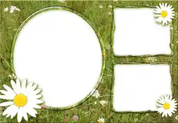 Εφέ φωτογραφιών στην κατηγορία Διαφορετικές № 34932