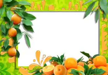 Εφέ φωτογραφιών στην κατηγορία Διαφορετικές № 36215