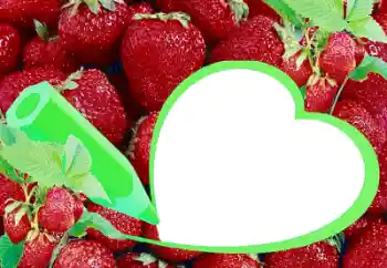 Εφέ φωτογραφιών στην κατηγορία Διαφορετικές № 36225