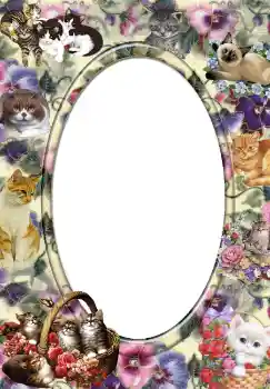 Εφέ φωτογραφιών στην κατηγορία Διαφορετικές № 3702