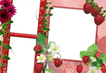 Εφέ φωτογραφιών στην κατηγορία Διαφορετικές № 3703