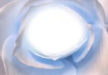 Εφέ φωτογραφιών στην κατηγορία Διαφορετικές № 38328