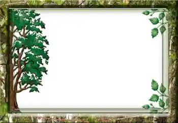 Εφέ φωτογραφιών στην κατηγορία Διαφορετικές № 38357