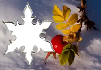 Εφέ φωτογραφιών στην κατηγορία Διαφορετικές № 38548