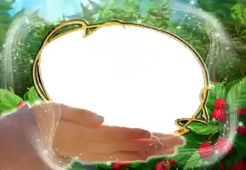 Εφέ φωτογραφιών στην κατηγορία Διαφορετικές № 38900