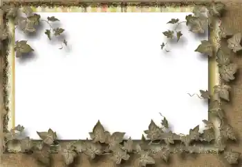 Εφέ φωτογραφιών στην κατηγορία Διαφορετικές № 39069